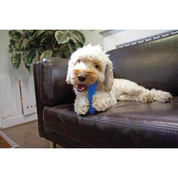 Rosewood Chillax Cool Bone 7" - Ormskirk Pets