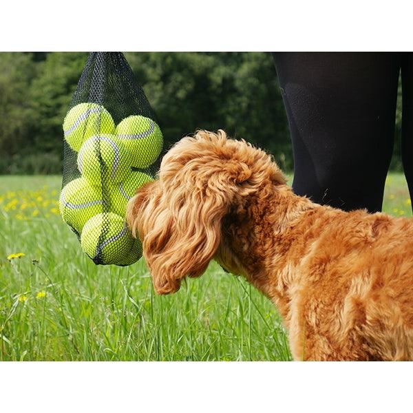 Rosewood Standard Tennis Balls 12pc - Ormskirk Pets