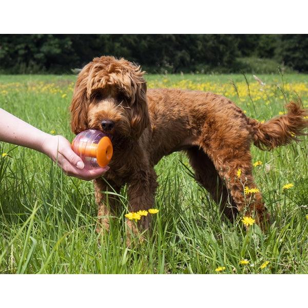 Rosewood Giggling Sound Interactive Treat Ball - Ormskirk Pets