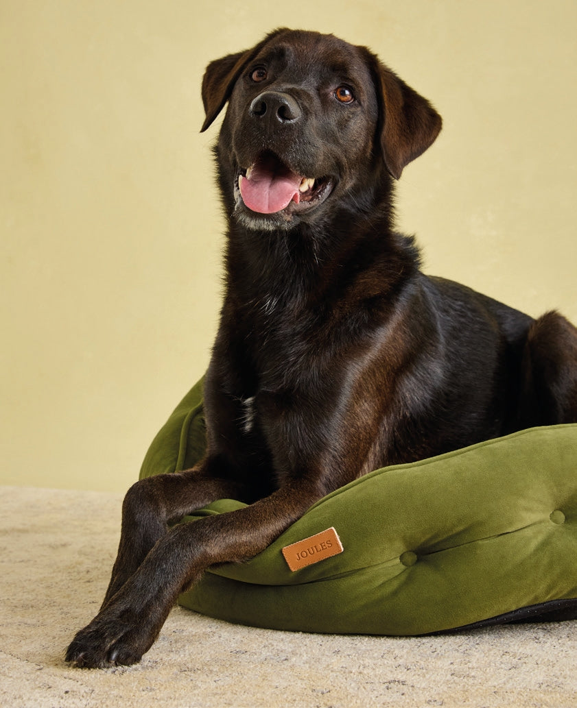 Joules Chesterfield Pet Bed Khaki