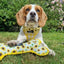 Ancol Sunflower/Yellow Patterned Reversible Bone Toy