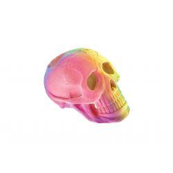 Classic Fluorescent Skull 9cm - Ormskirk Pets