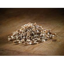 Sunflower Hearts 20kg - Ormskirk Pets