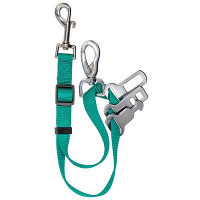 Sotnos Universal Seat Belt Restraint Teal - Ormskirk Pets