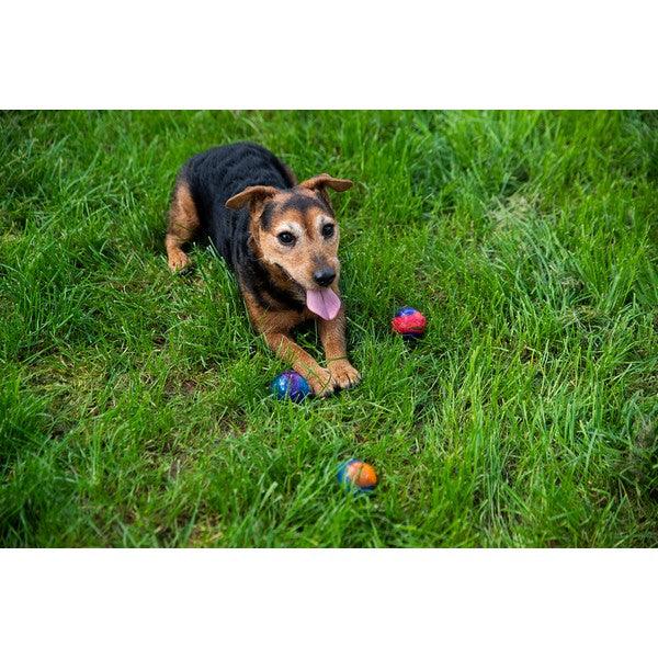 GiGwi Ball with Squeaker Small 3pk - Ormskirk Pets