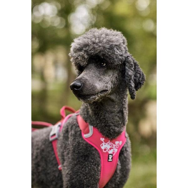 Hurtta Weekend Warrior Harness Ruby - Ormskirk Pets