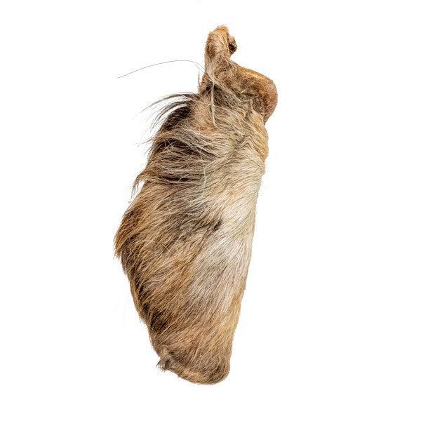 Doodles Deli Air Dried Beef Ears With Hair 1kg - Ormskirk Pets