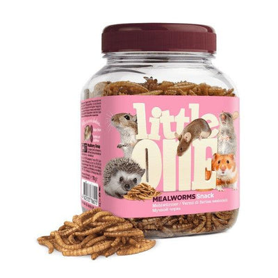 Little One Mealworms.Snack for Omnivores and Small Mammals 70g Case of 6 - Ormskirk Pets