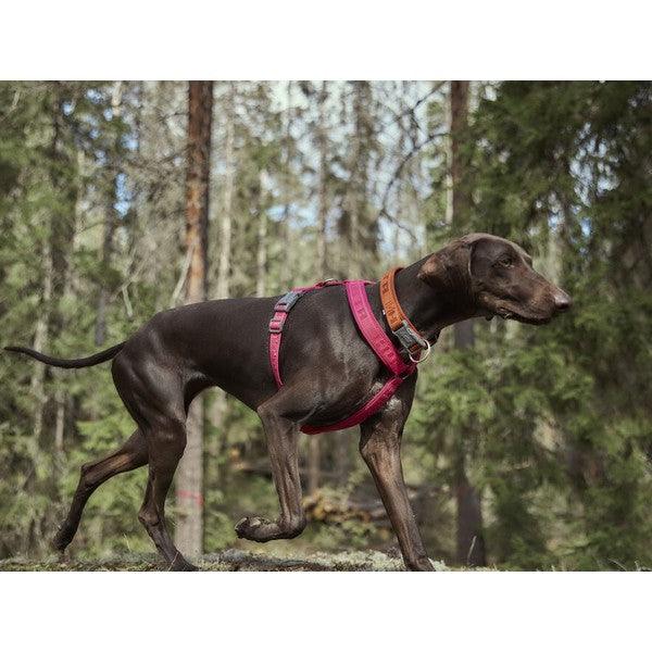 Hurtta Casual Y-Harness ECO Ruby - Ormskirk Pets