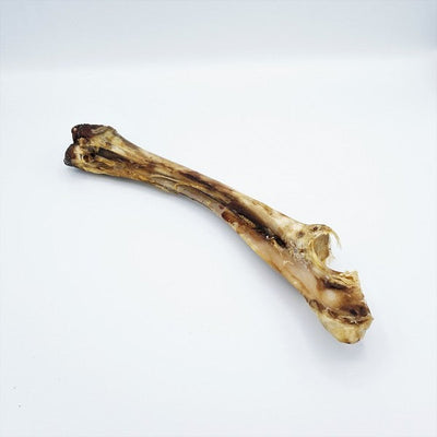 Doodles Deli Air Dried Deer Bone 1pc