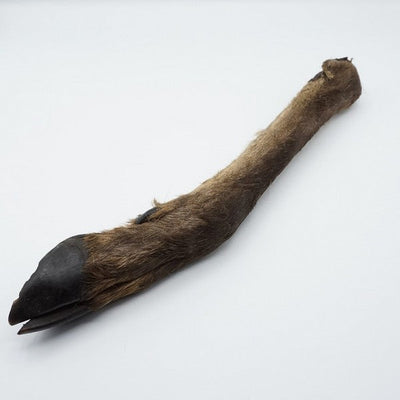 Doodles Deli Air Dried Deer Leg with Hair 1pc