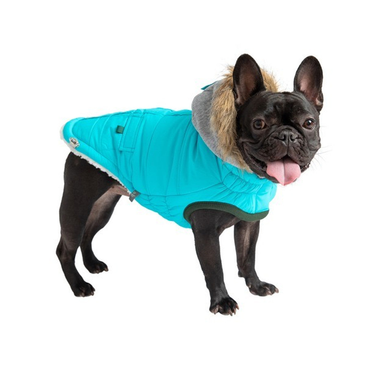 GF Pet Elasto-Fit Winter Sailor Parka Aqua