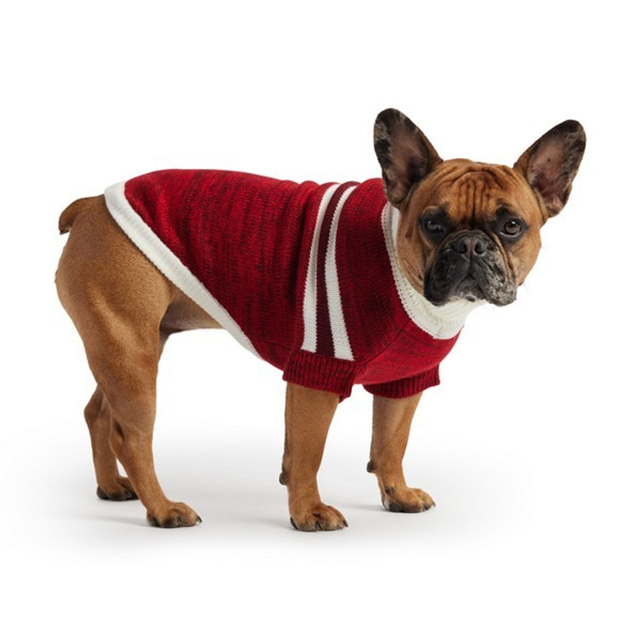 GF Pet Trekking Sweater Red