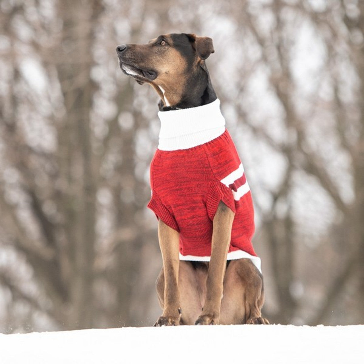 GF Pet Trekking Sweater Red