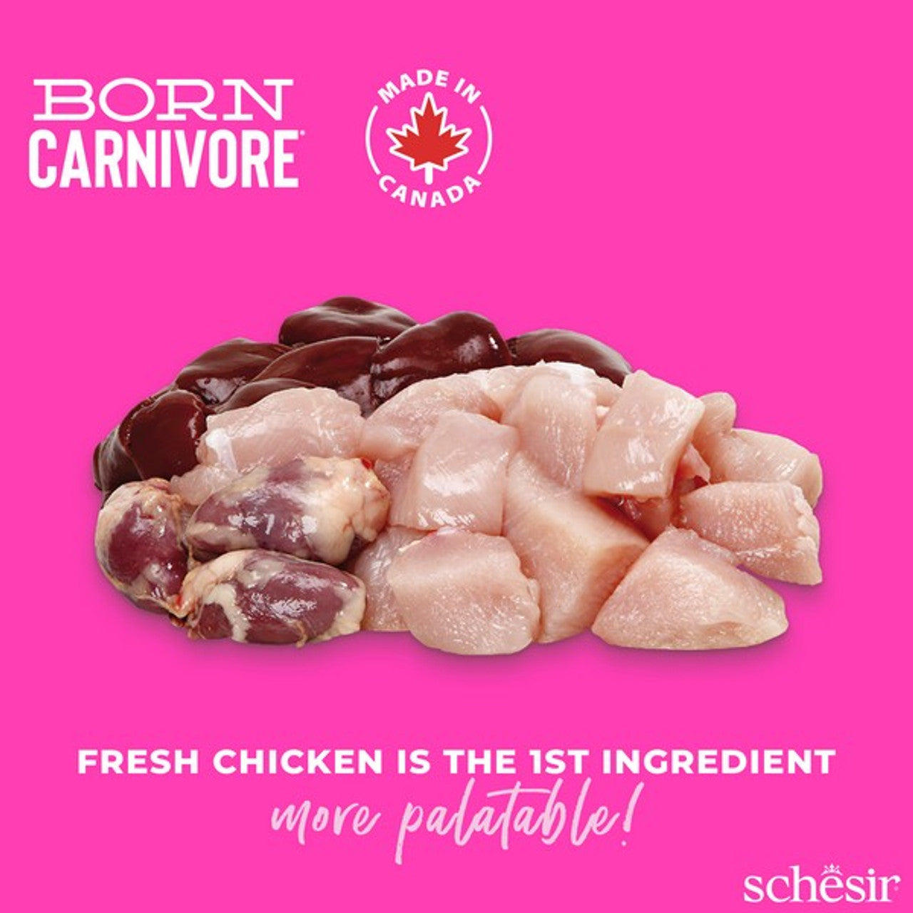 Schesir Dry Born Carnivore Chicken & Egg Baby 255G x 8