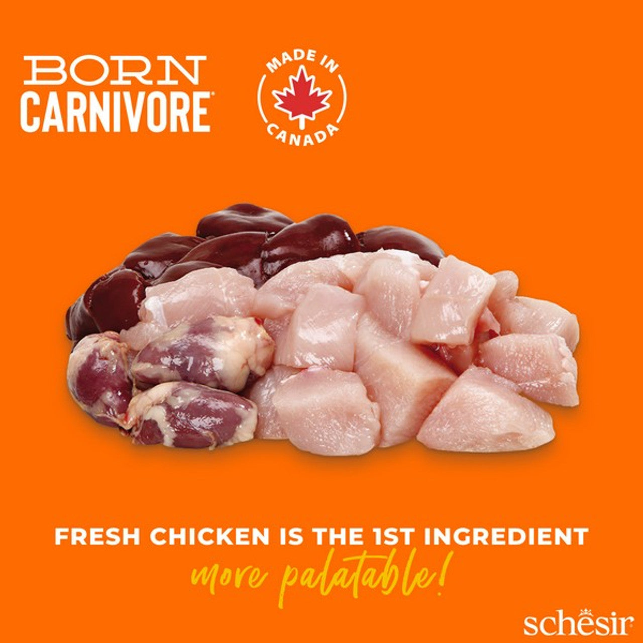 Schesir Dry Born Carnivore Chicken & Egg Adult 1.25Kg