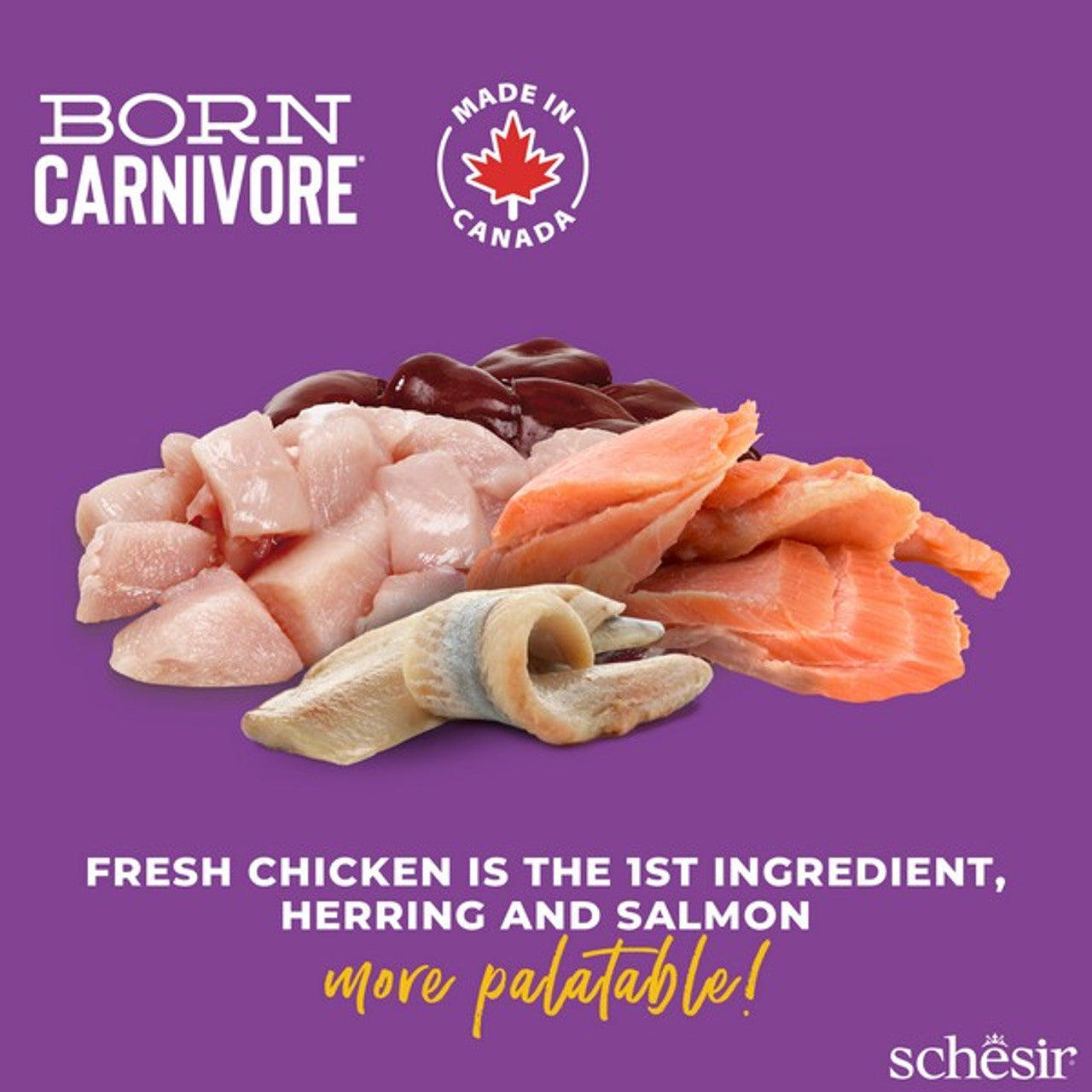 Schesir Dry Born Carnivore Chicken & Herring Adult 1.25Kg