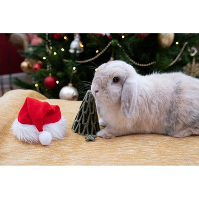 Rosewood Veggie Burst 3D Christmas Tree For a Rabbit