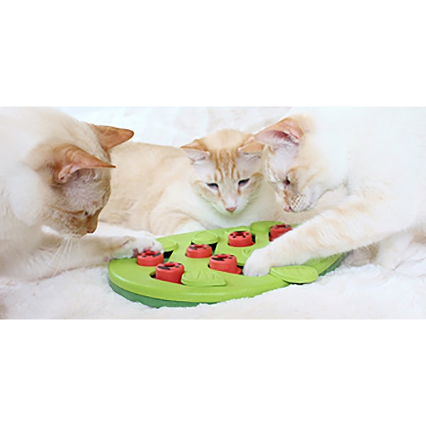 Nina Ottosson Puzzle & Play Buggin Out Green Cat toy