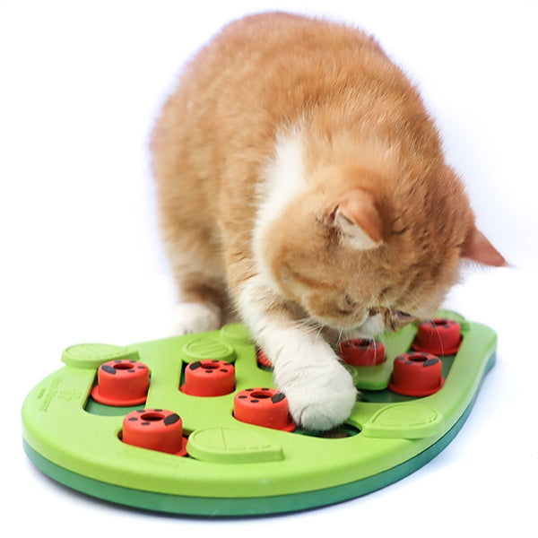 Nina Ottosson Puzzle & Play Buggin Out Green Cat toy