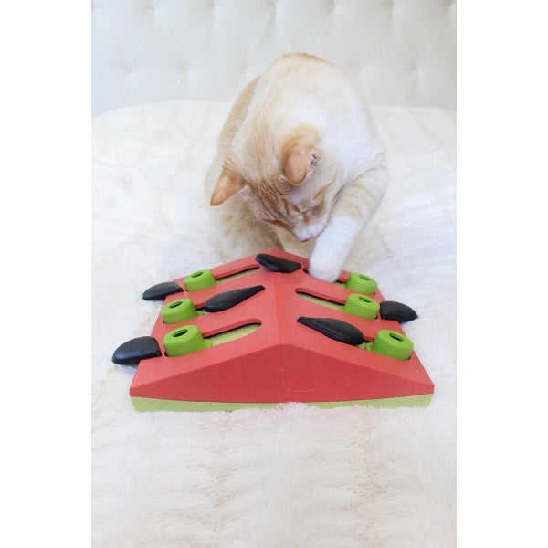 Nina Ottosson Puzzle & Play Melon Mdnss Pnk Cat Toy