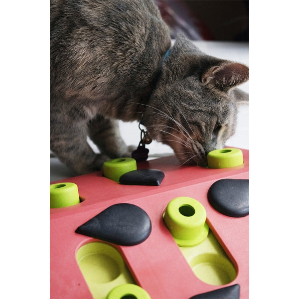 Nina Ottosson Puzzle & Play Melon Mdnss Pnk Cat Toy