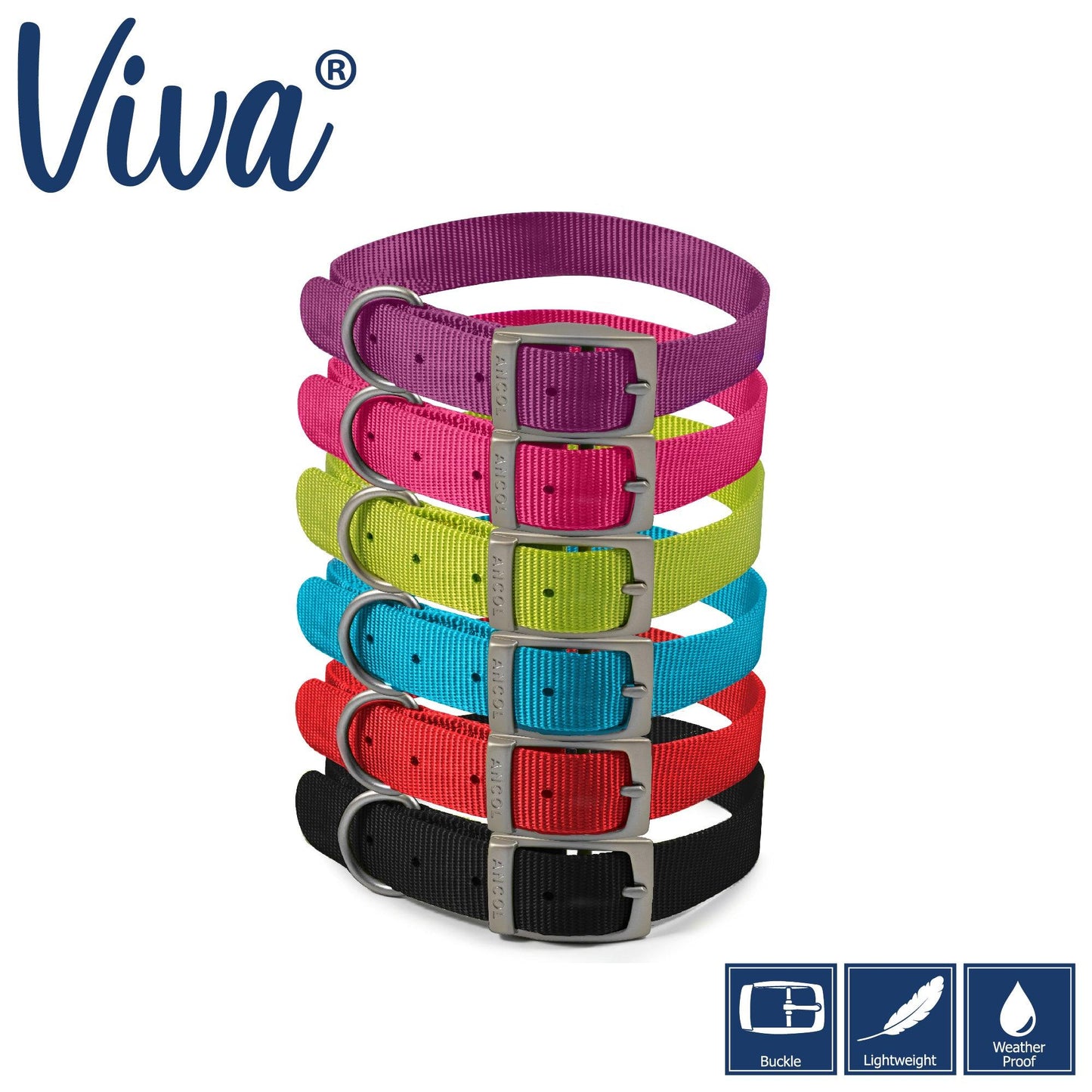 Ancol Viva Collar Lime 20-26cm Size 1