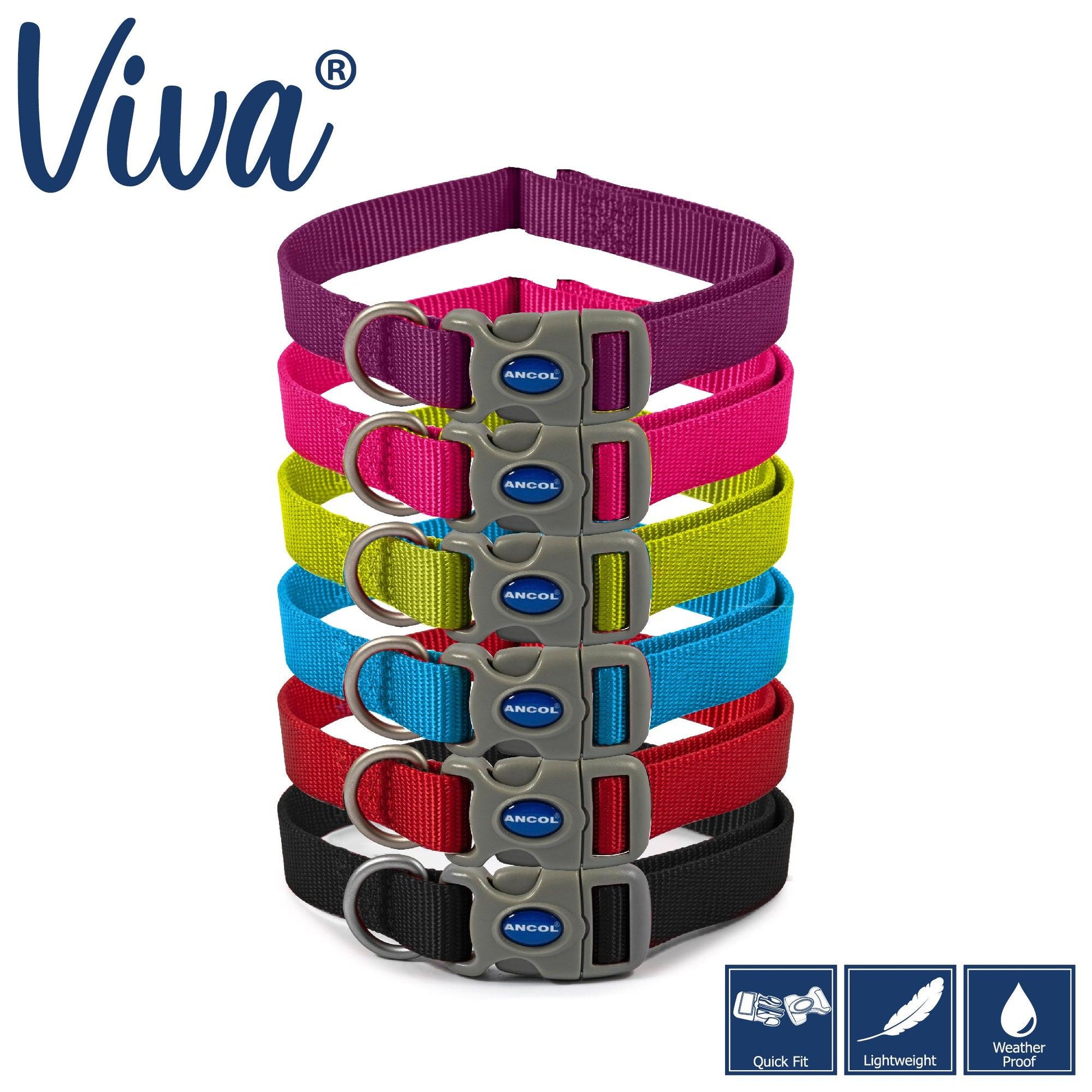 Ancol Viva Adjustable Collar Purple 30-50cm Size 2-5 - Ormskirk Pets