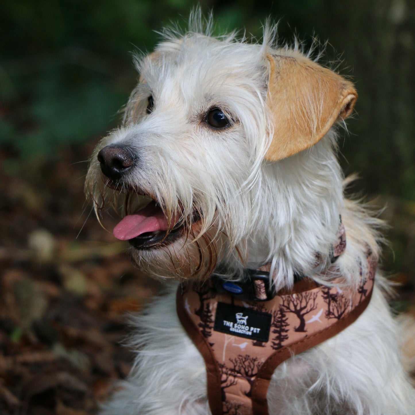 Ancol Maple Leaf/Woodland Reversible Harness