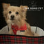 Ancol Tartan Star Patterned Bandana 2 per pack One of each pattern