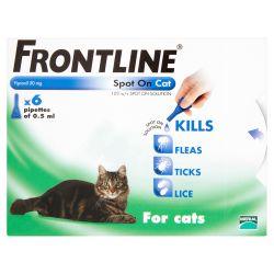 FRONTLINE Spot On Cat - 6 pipettes 6s - Ormskirk Pets