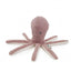 Rosewood tufflove Octopus Small - Ormskirk Pets