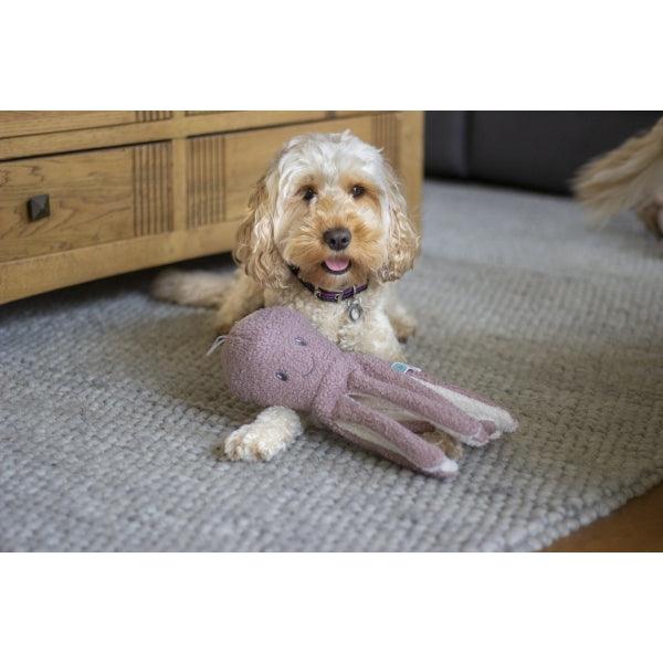 Rosewood tufflove Octopus Small - Ormskirk Pets