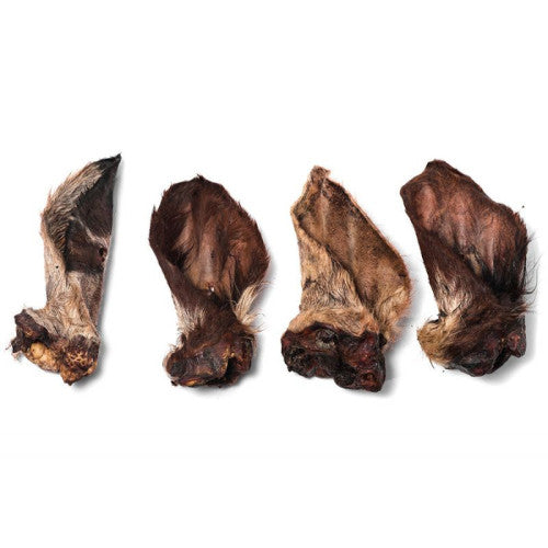 Healthy Paws Beef Ears with Hair 50pcs Box