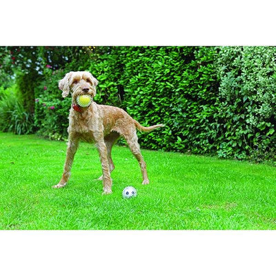 Rosewood Catch & Play Football - Ormskirk Pets