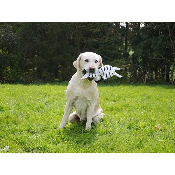 Rosewood Tough Safari Zebra - Ormskirk Pets