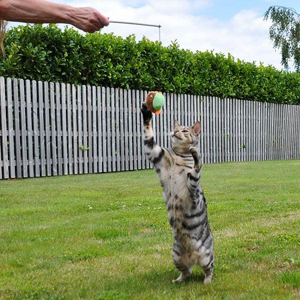 Rosewood Little Nippers Flippy Fish - Ormskirk Pets