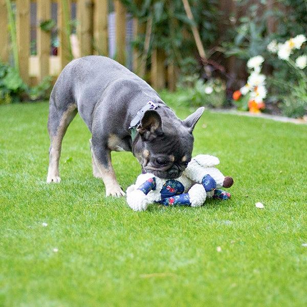 Rosewood Maisie Mouse - Ormskirk Pets