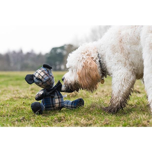 Rosewood Blueberry Bear - Ormskirk Pets