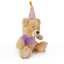 Rosewood Birthday Bear - Ormskirk Pets