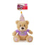 Rosewood Birthday Bear - Ormskirk Pets