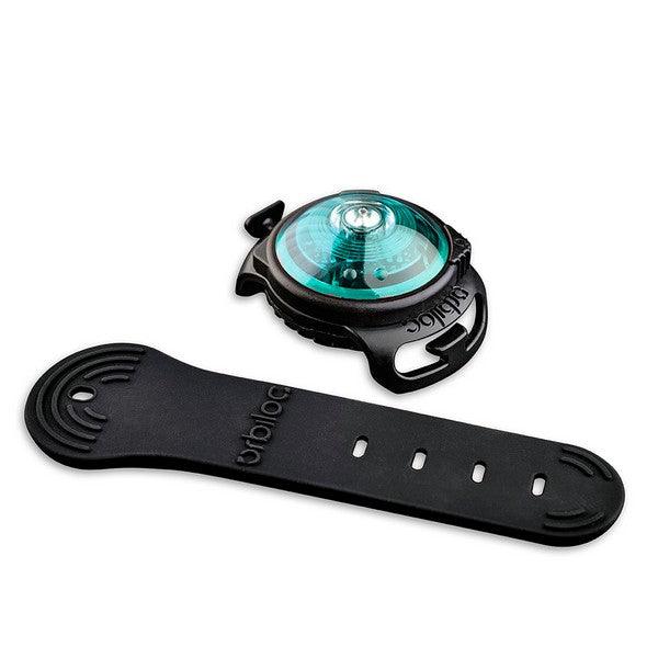 Orbiloc Dog Dual Safety Light Turquoise - Ormskirk Pets