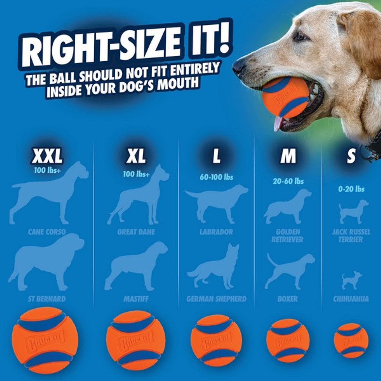 Chuckit! Ultra Ball (1Pk) Extra Large 9cm - Ormskirk Pets