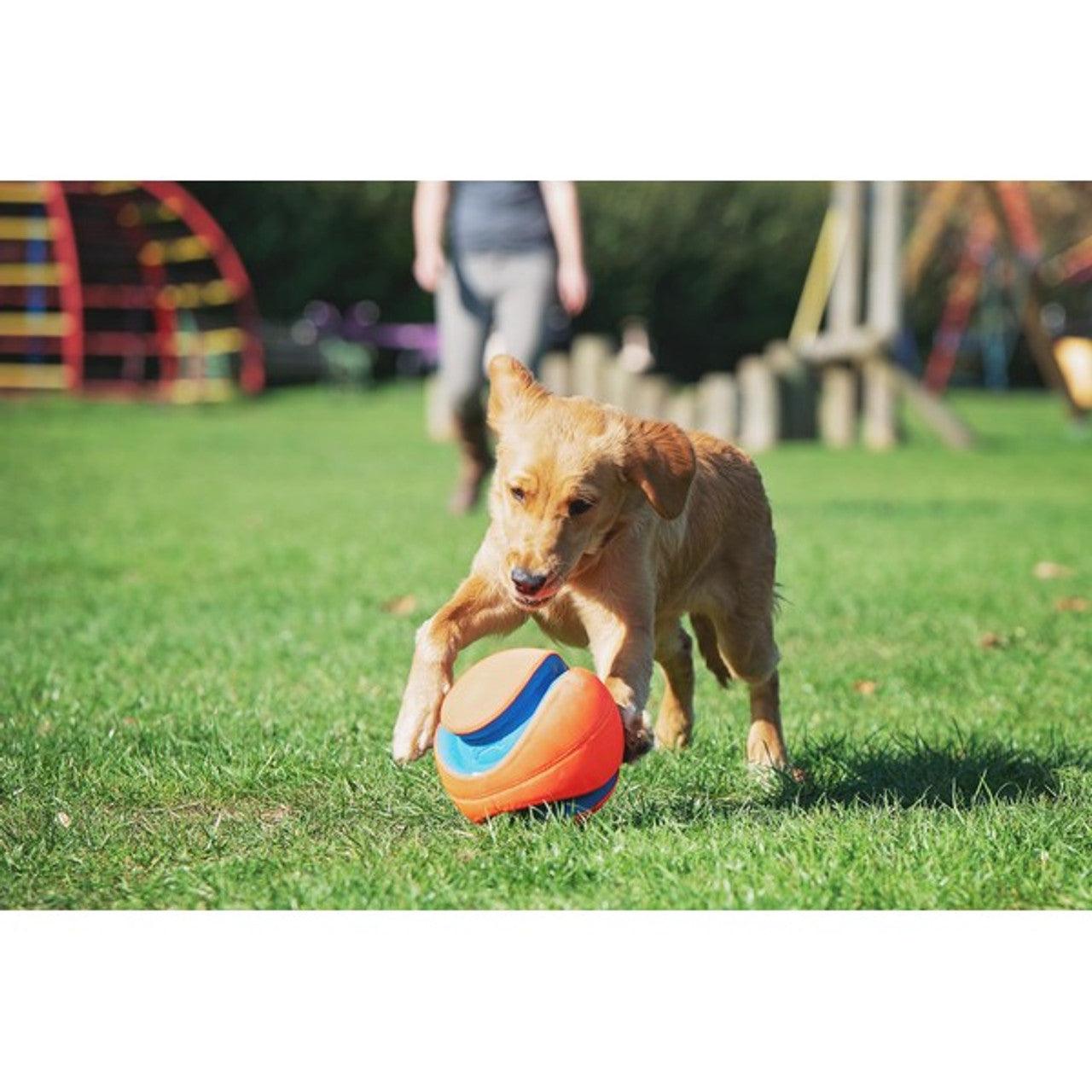 Chuckit! Kick Fetch Small 15cm - Ormskirk Pets