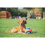 Chuckit! Kick Fetch Small 15cm - Ormskirk Pets