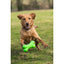 Rosewood Squeaky Tough Bone - Ormskirk Pets