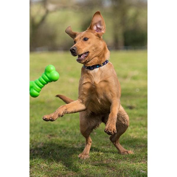 Rosewood Squeaky Tough Bone - Ormskirk Pets