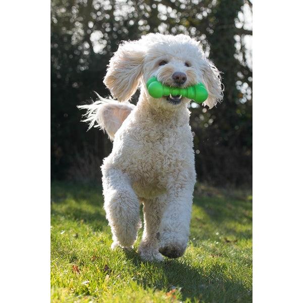 Rosewood Squeaky Tough Bone - Ormskirk Pets