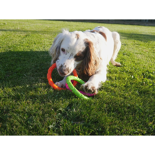 Rosewood tough toys Tough Multi-colour Rings Medium