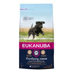 EUKANUBA Developing Junior Large Breed Rich In Fresh Chicken 12kg - Ormskirk Pets